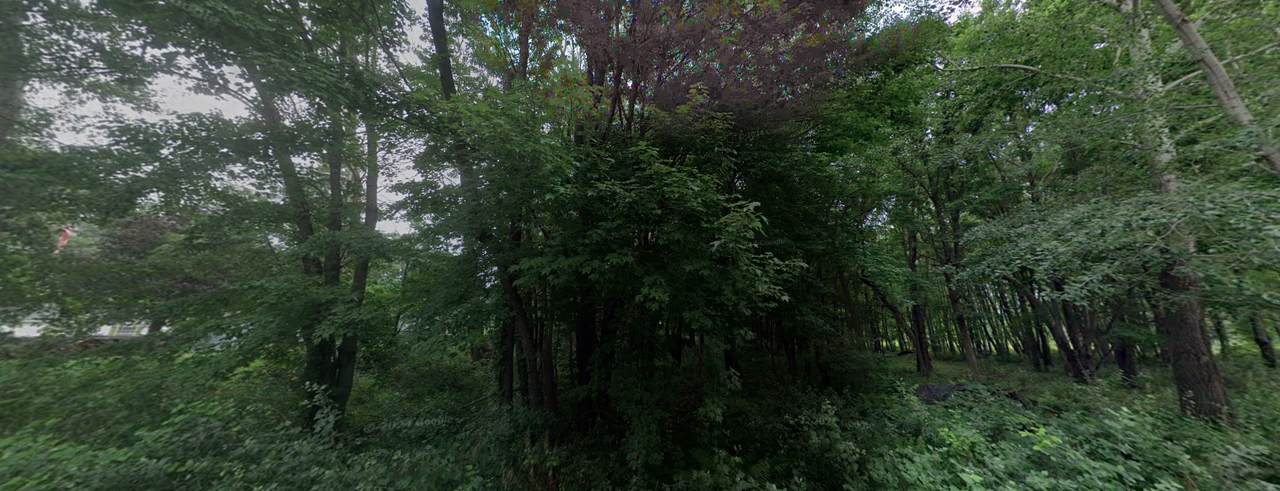 17327 Hiawatha Beach Drive - Photo 1