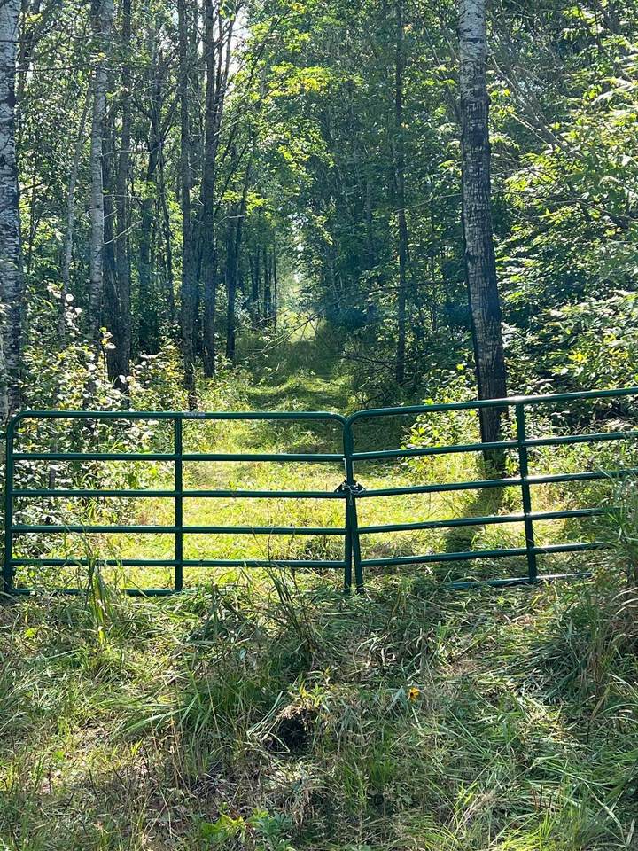 TBD County Road 3 - Photo 1