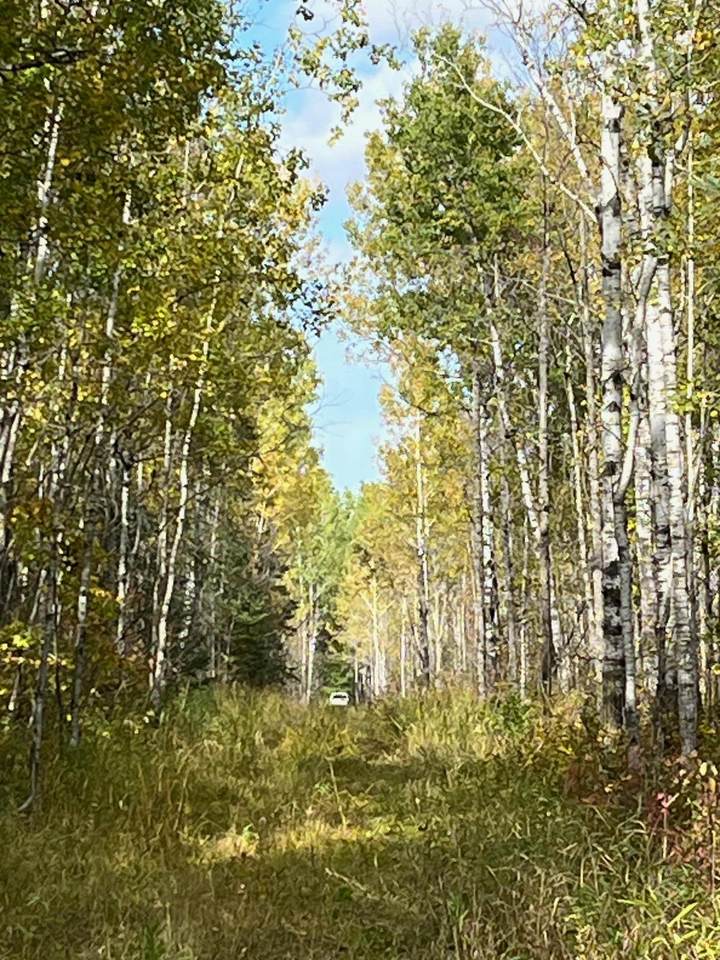 https://bt-photos.global.ssl.fastly.net/northstar/1280_boomver_1_6791696-2.jpg