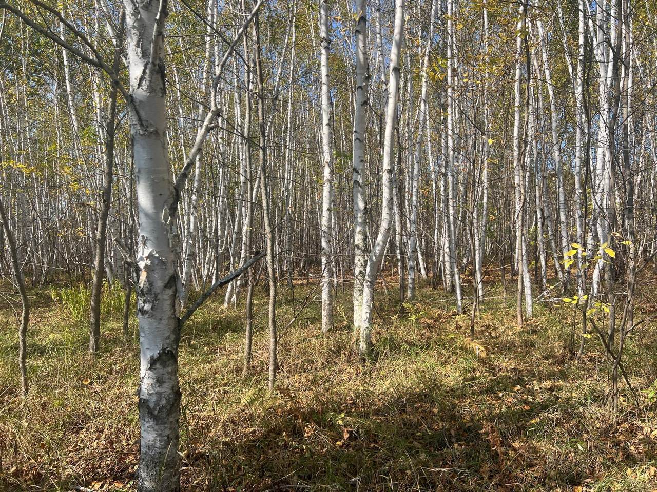 00000 County Hwy 61 - Photo 1