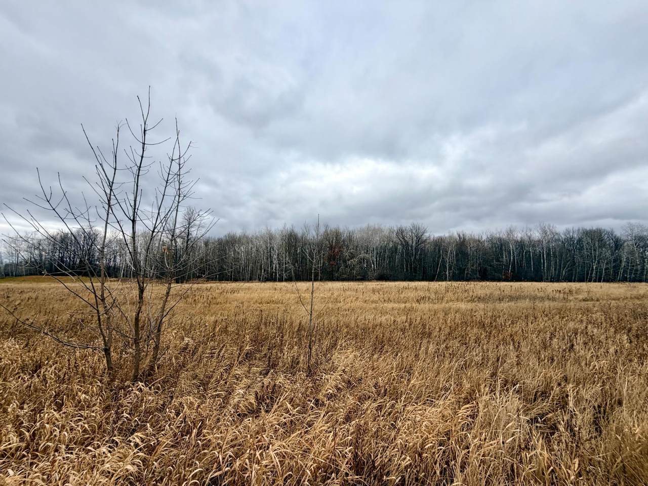 XX Pole Road - Photo 1