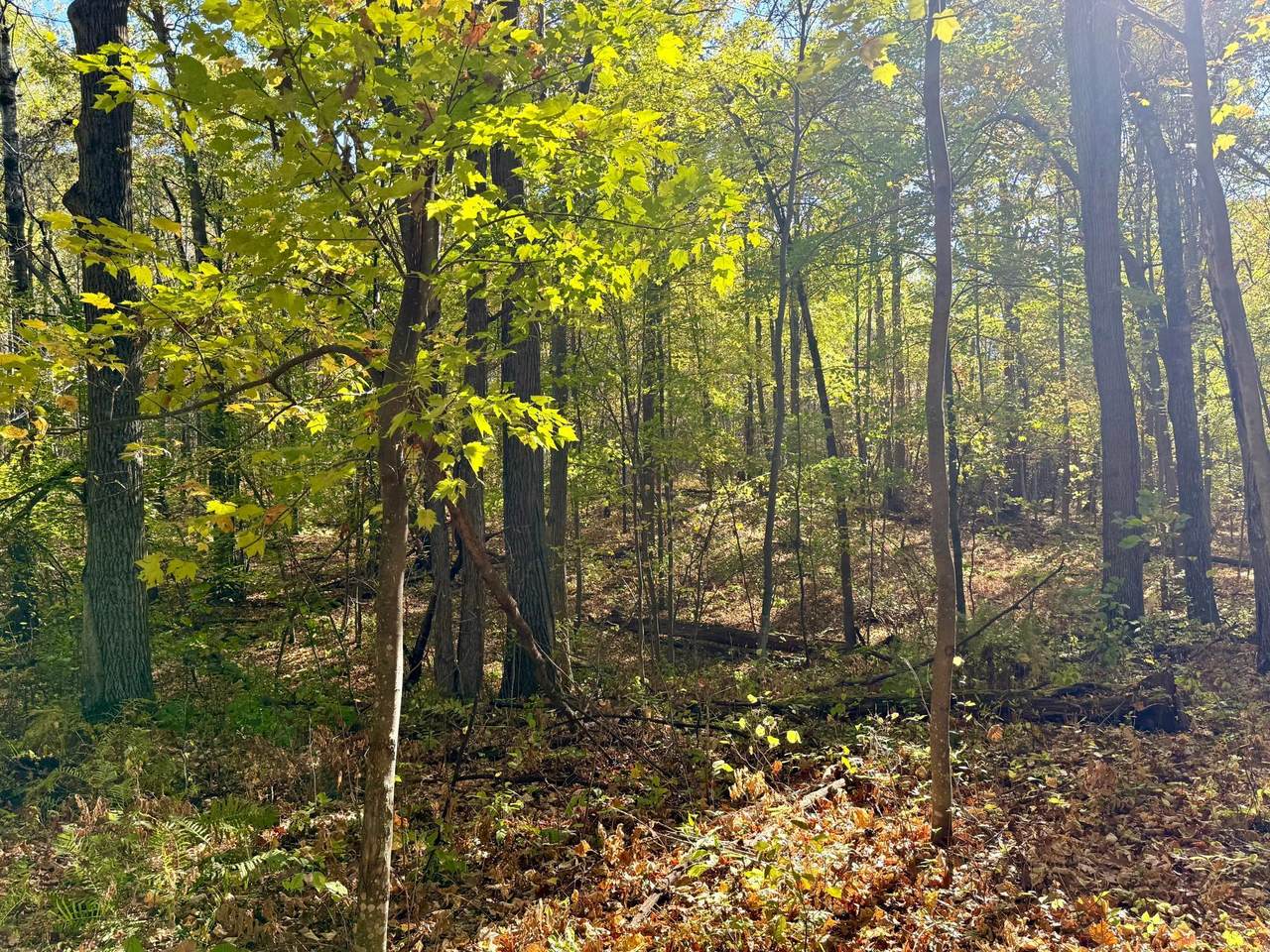 TBD County Rd. 8 - Photo 1