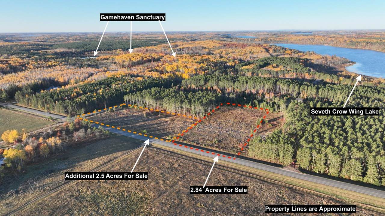 xxx County Road 119 - Photo 1