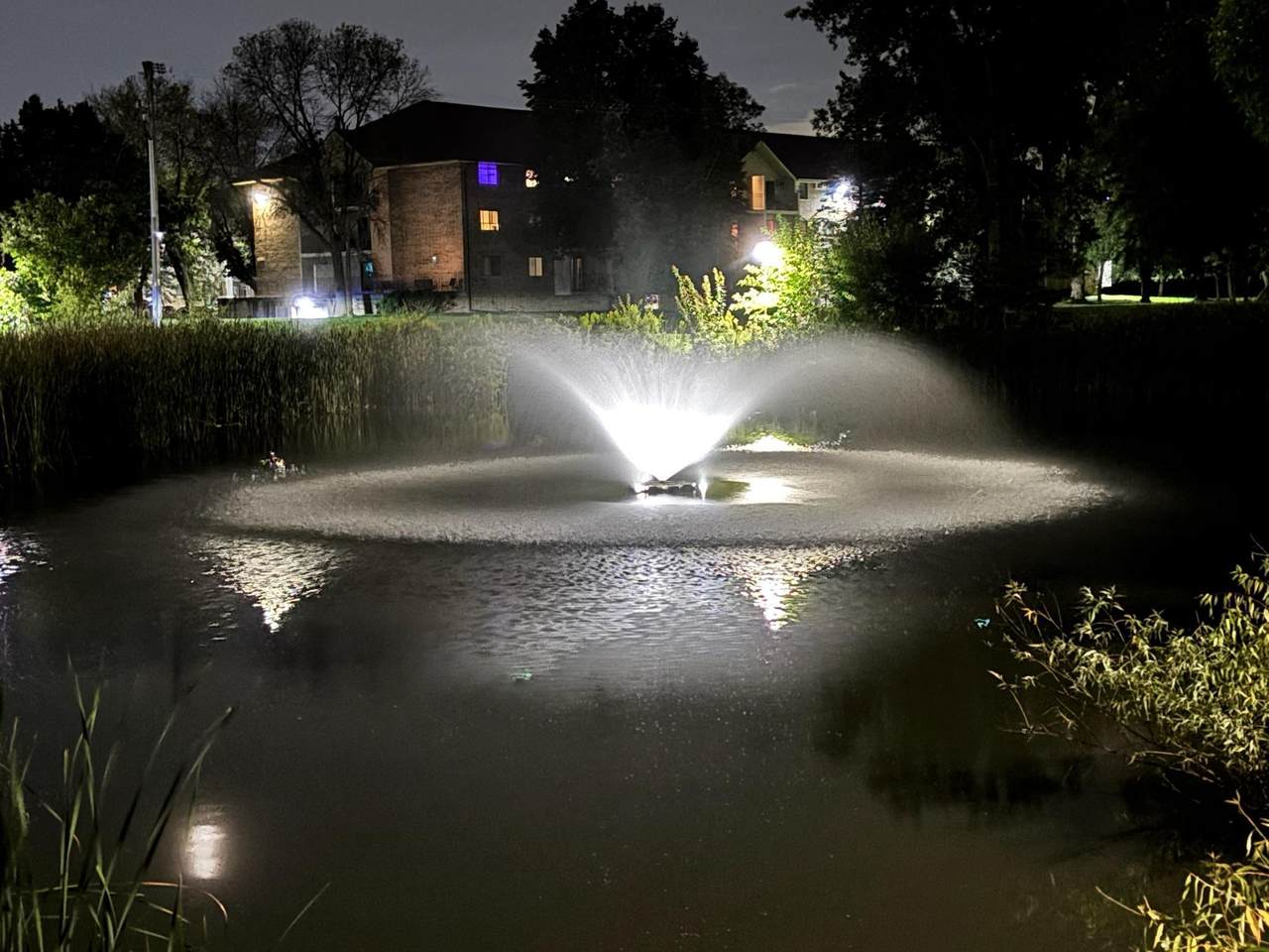 10511 Cedar Lake Road - Photo 1