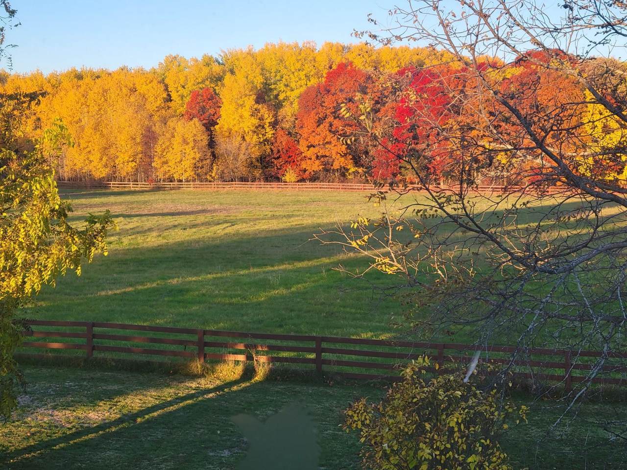 12049 Firefly Lane - Photo 1