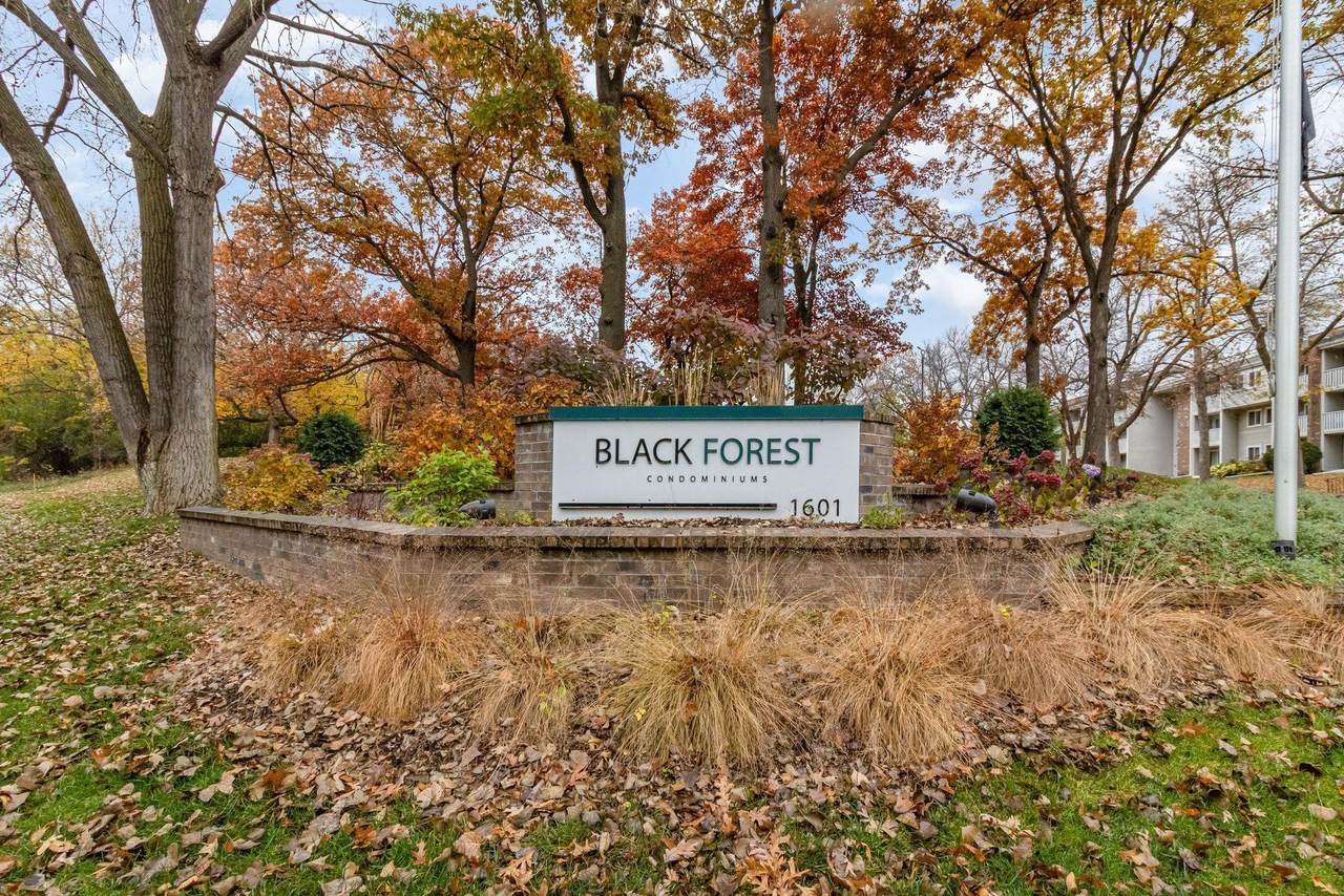 1601 Innsbruck Drive - Photo 1