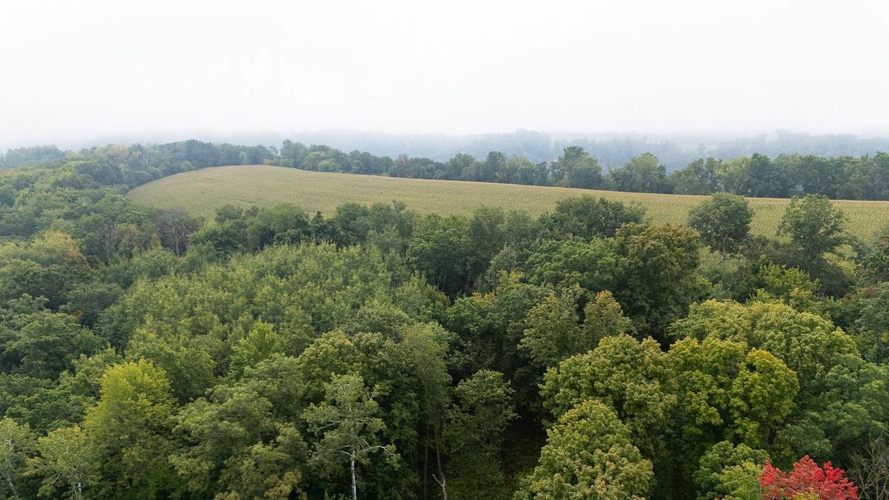 TBD (Lot 3) Goat Back Road - Photo 1