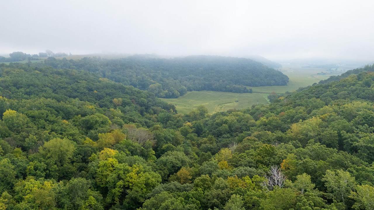 TBD (Lot 4) Goat Back Road - Photo 1