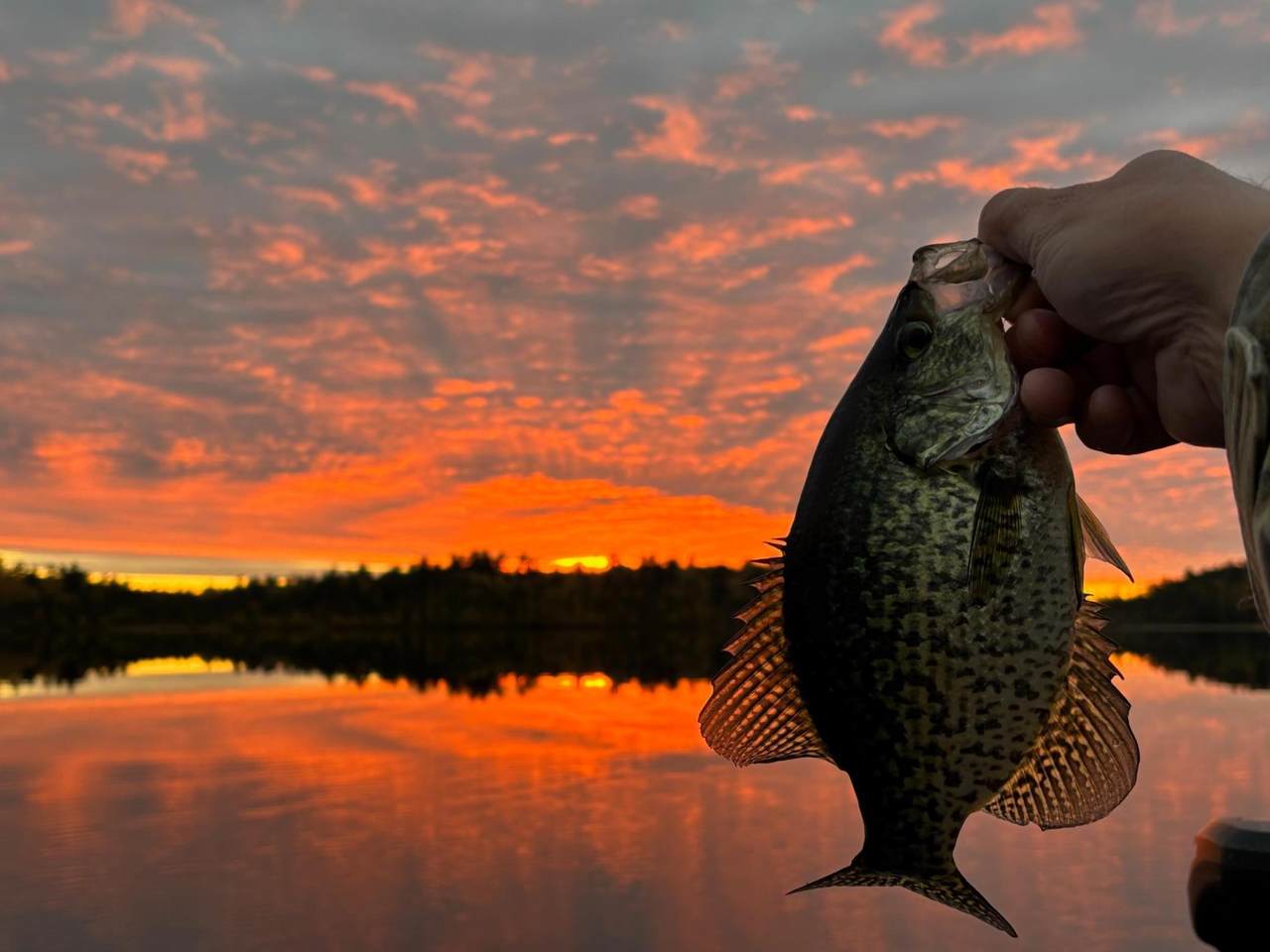 TBD Wilderness Way - Photo 1