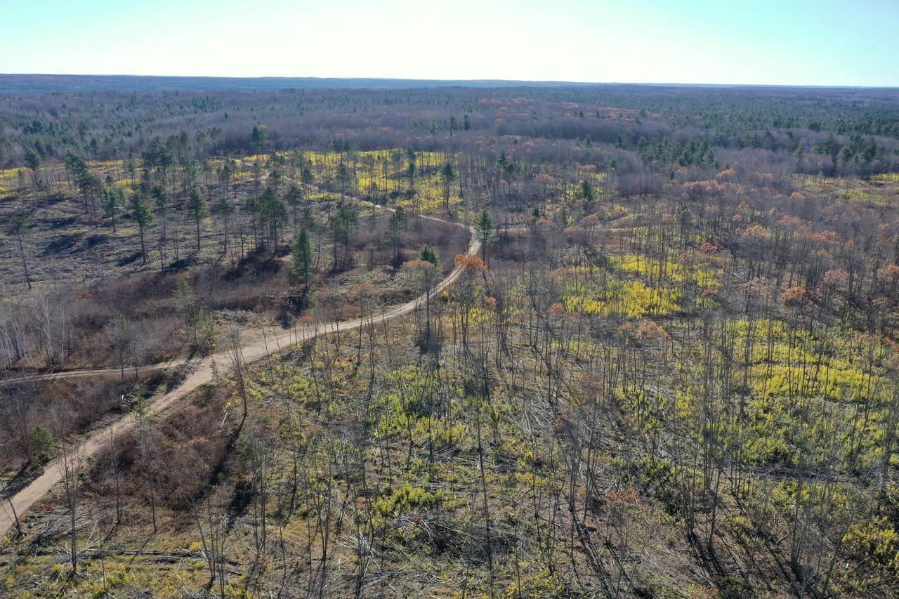 TBD Larsen Road - Photo 1