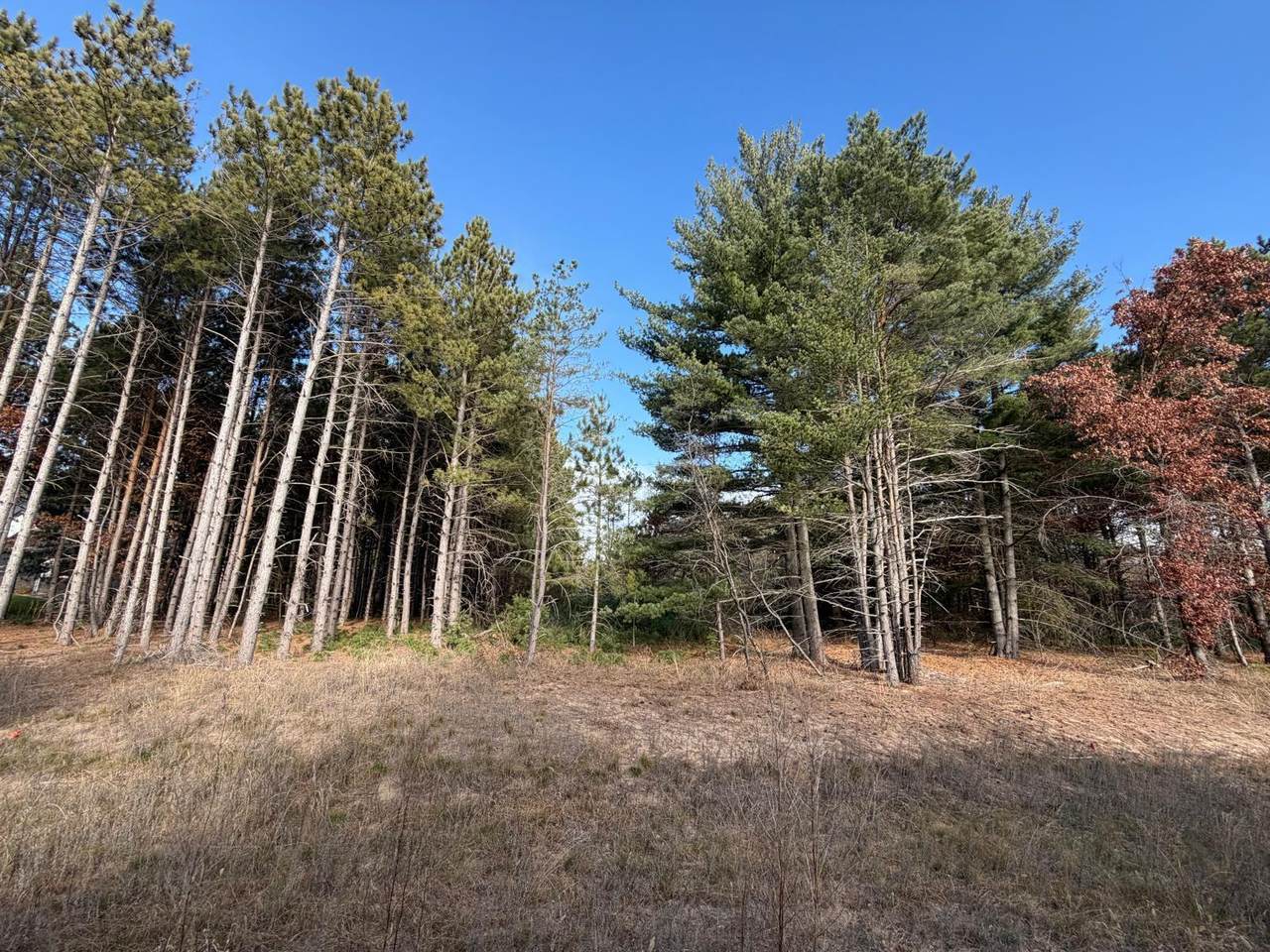 L2,Blk1 262nd Avenue - Photo 1