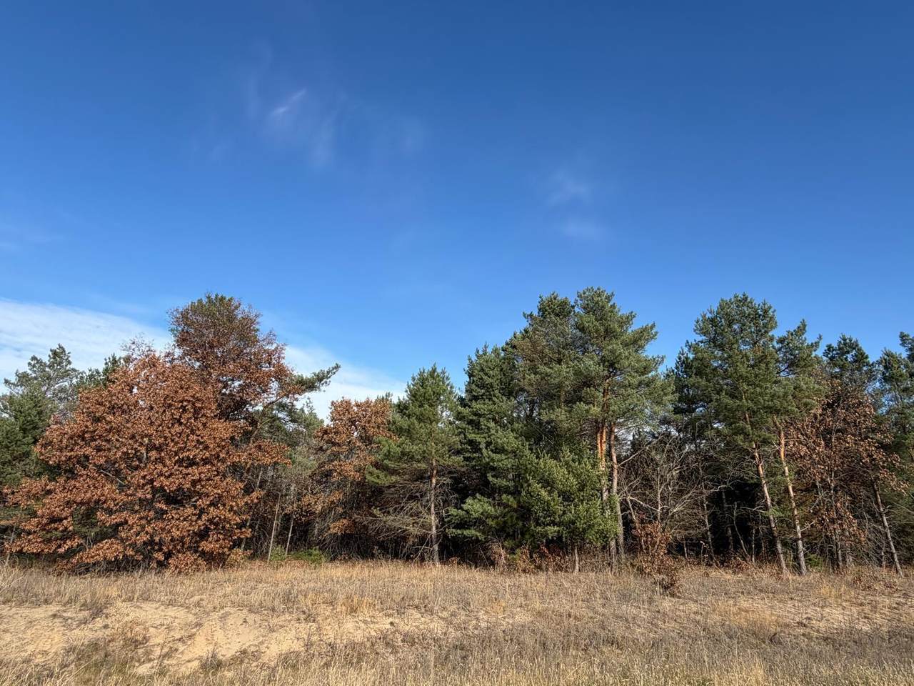 L5,Blk1 262nd Avenue - Photo 1