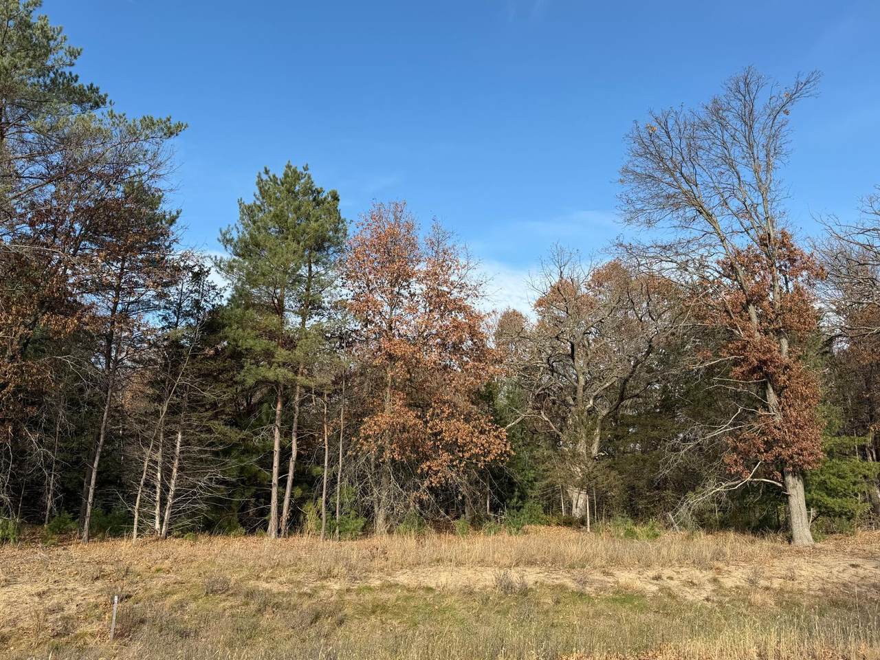 L6,Blk1 262nd Avenue - Photo 1