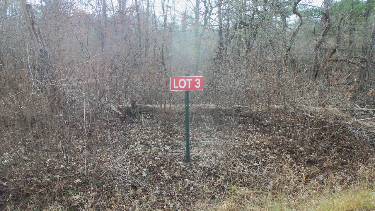 Lot 3 Ferry Rd - Photo 1