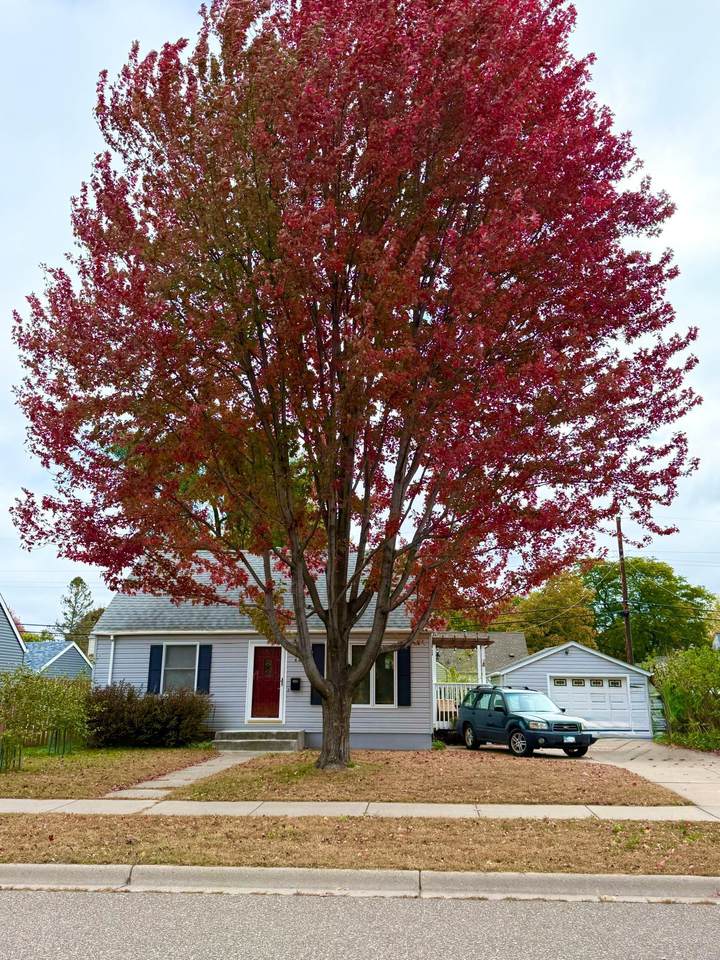 4438 Yates Avenue - Photo 1