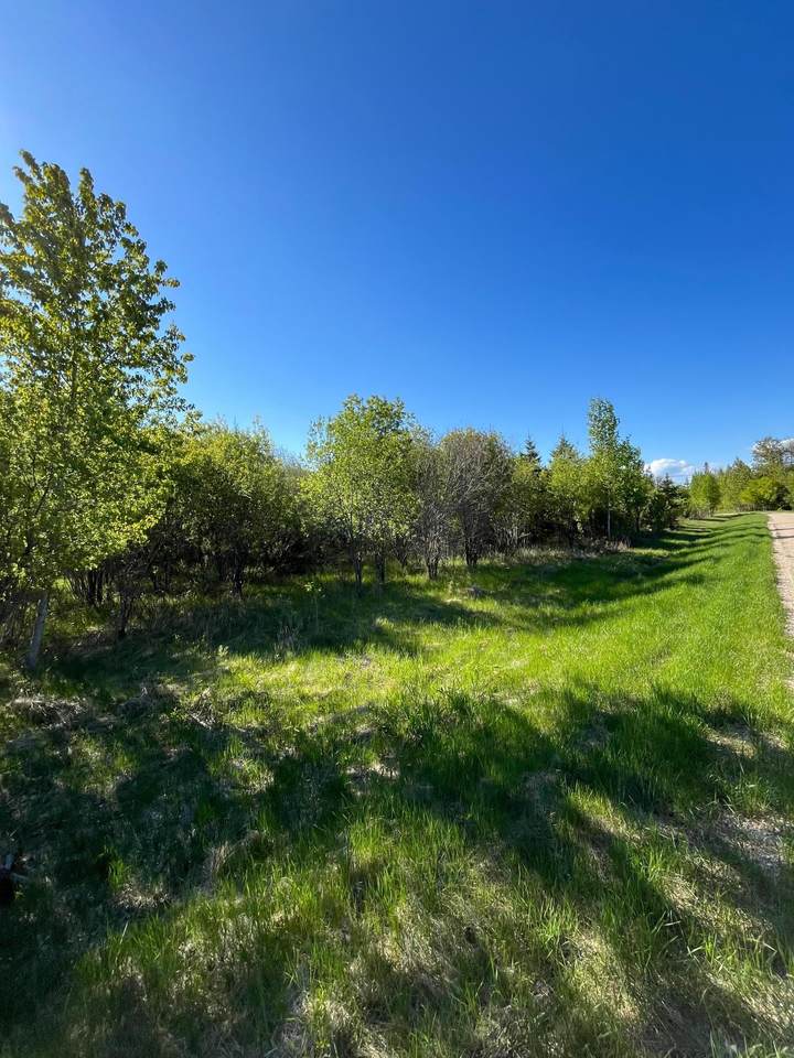 Lot 4 - TBD 330th Street - Photo 1