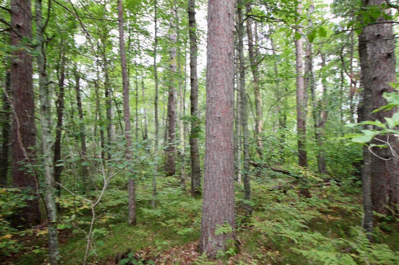 https://bt-photos.global.ssl.fastly.net/northstar/1280_boomver_1_7000350-2.jpg