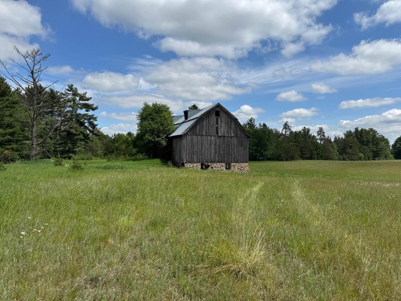 N 6398 Fred Tripp Road - Photo 1