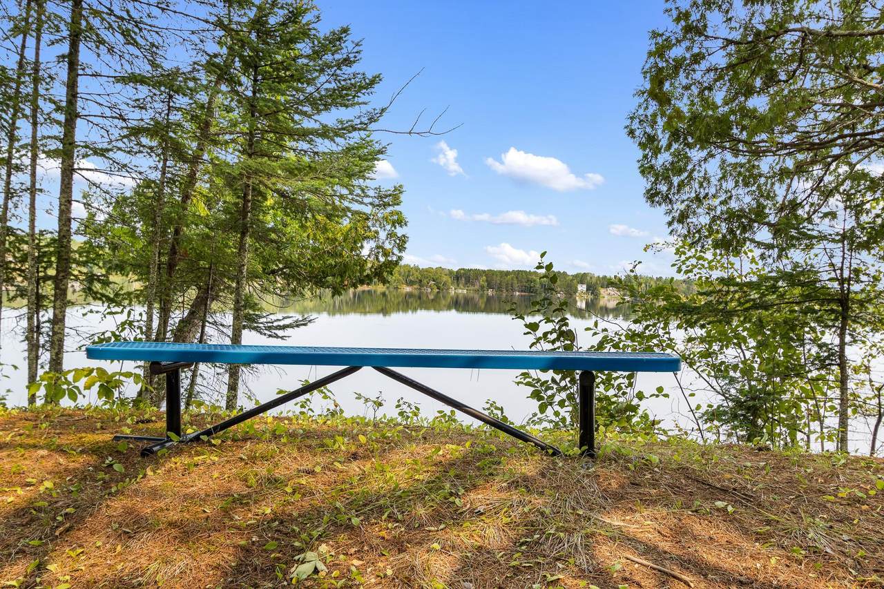 1233 Cameron Drive - Photo 1