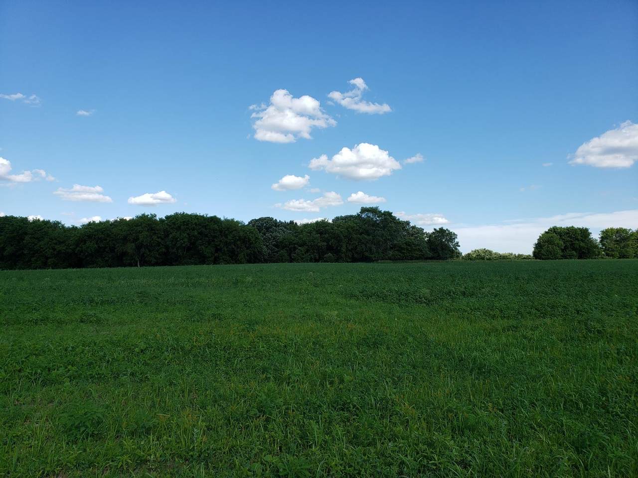 Lot 3 State Highway 15 - Photo 1