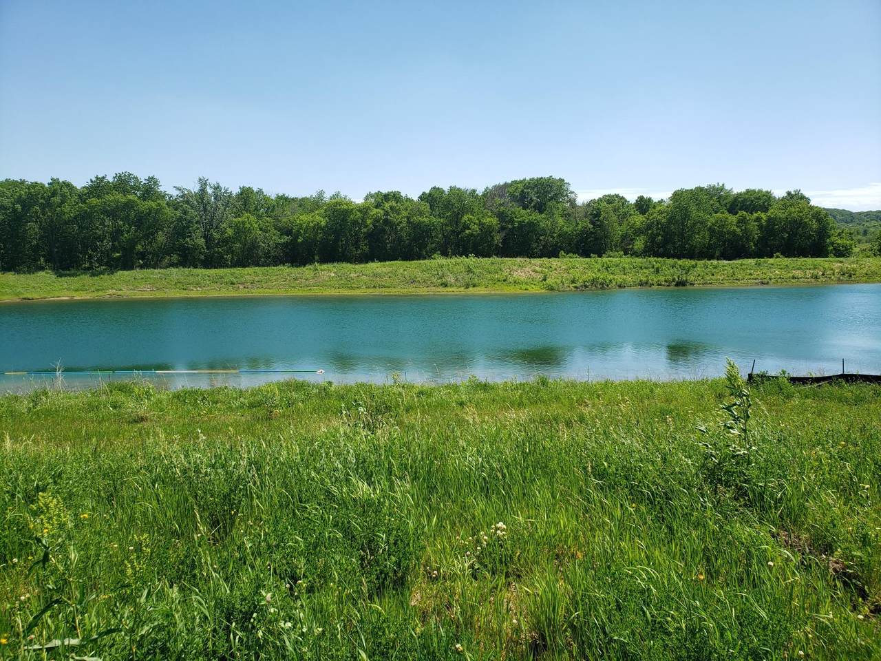3558 Mayo Lake Road - Photo 1