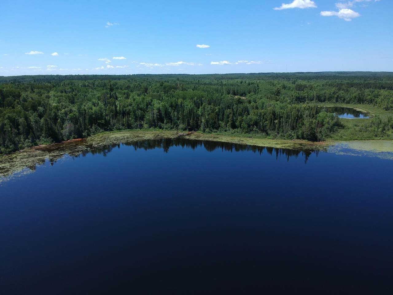 TBD Pickerel Road - Photo 1