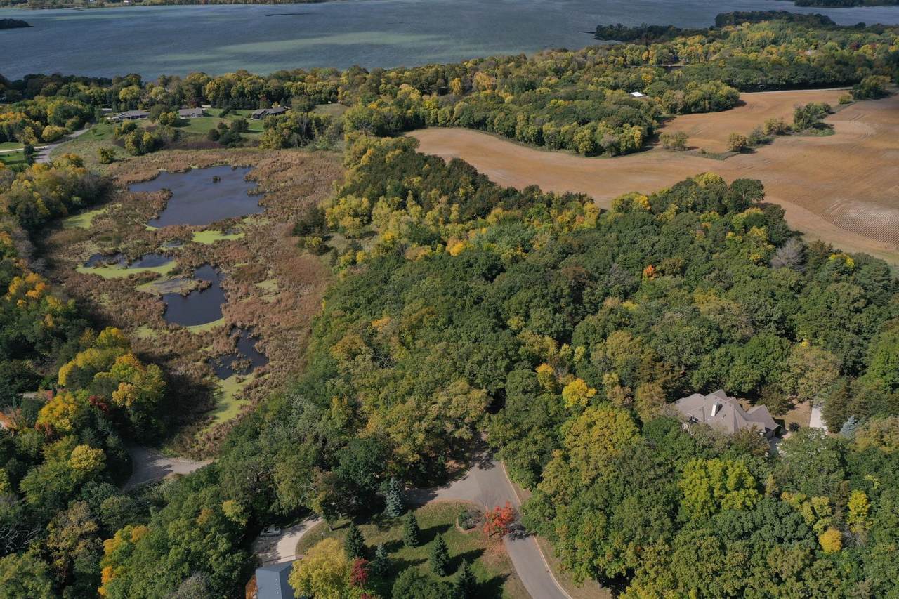 7421 Point Lake Drive - Photo 1