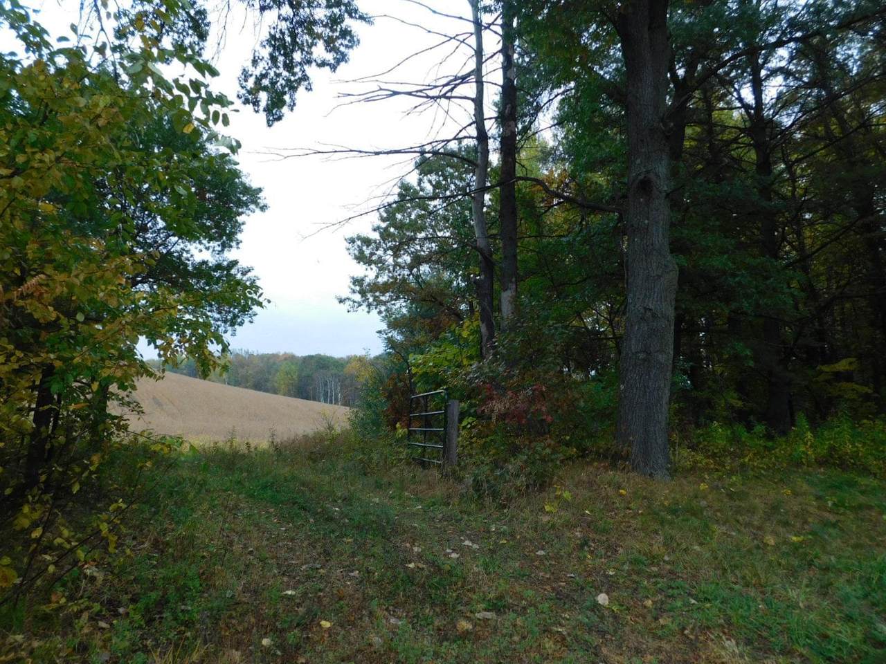 0 Brickyard Road - Photo 1