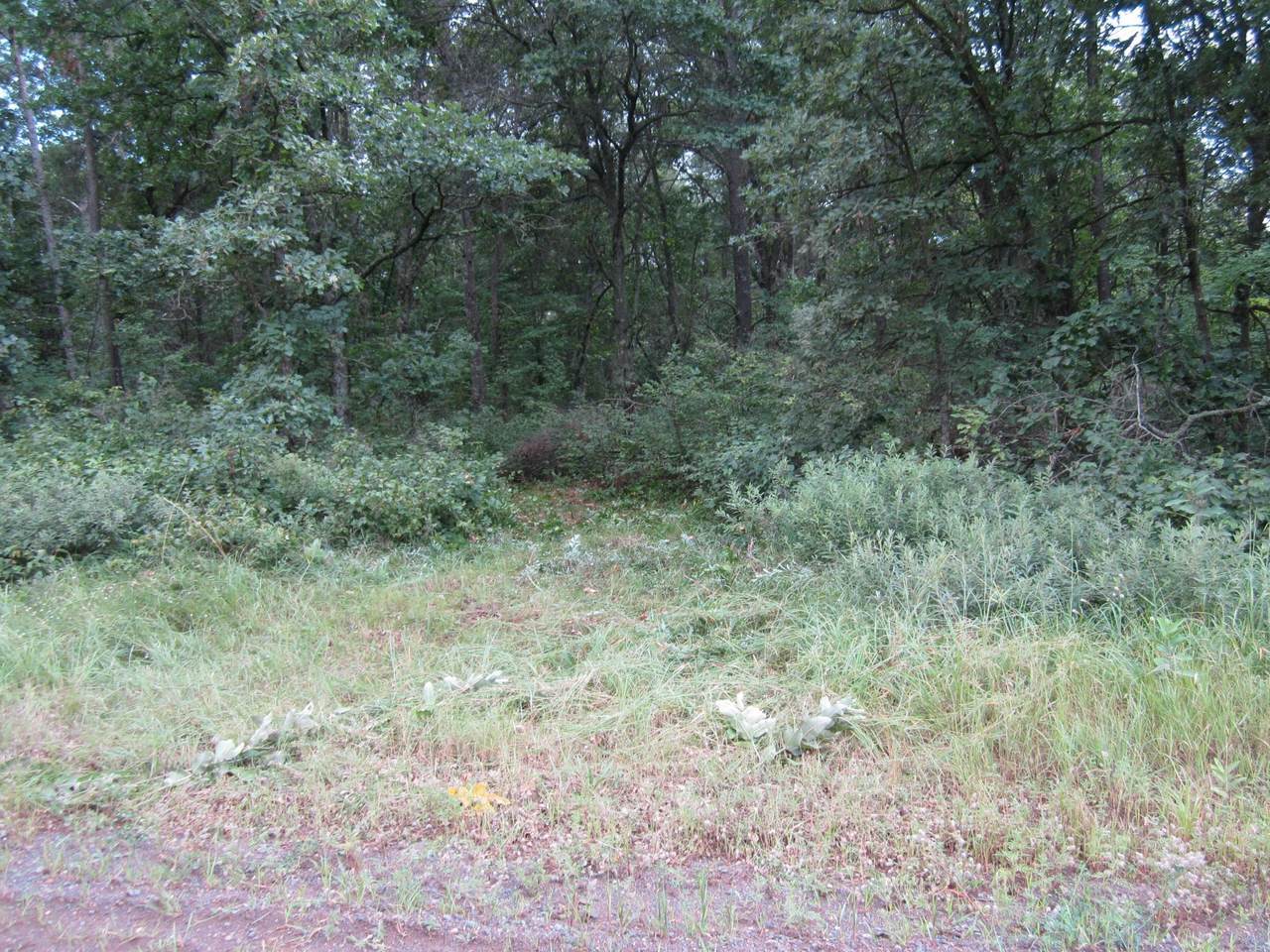 205xx Medchil - Photo 1