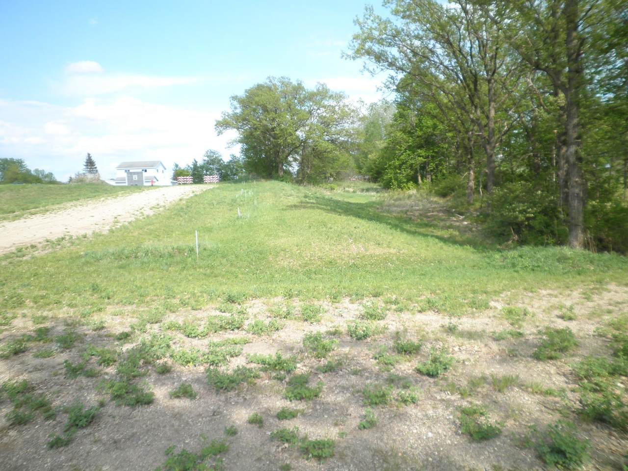 225 Eva Street - Photo 1