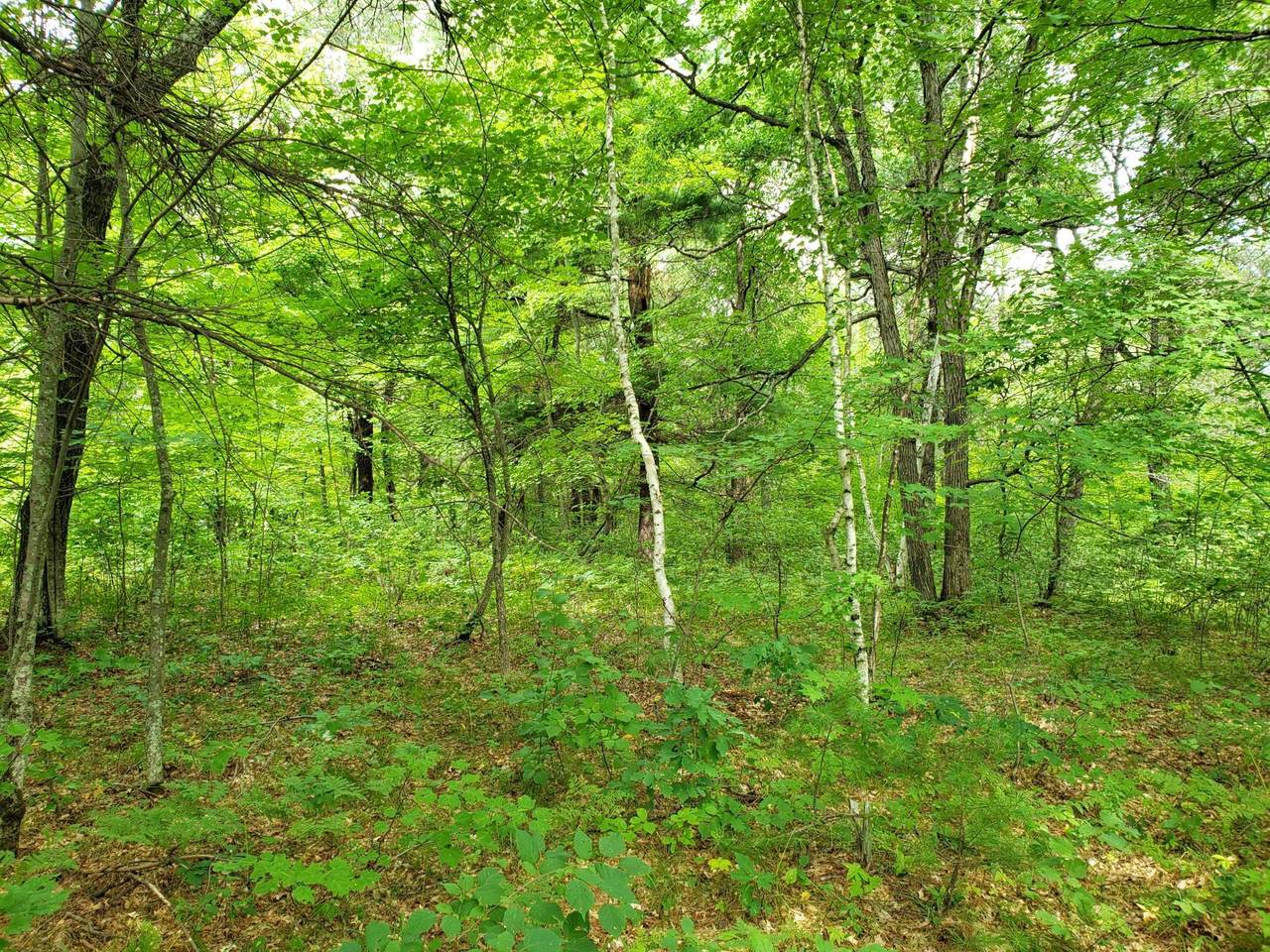 7178 Oakwood Parkway - Photo 1