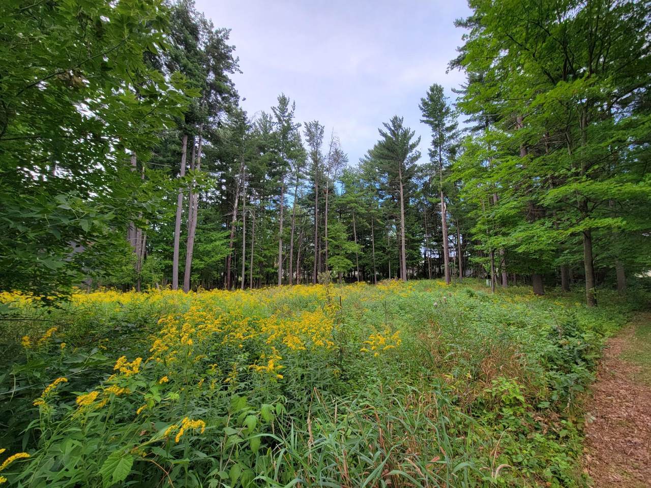 316 Violet Circle - Photo 1