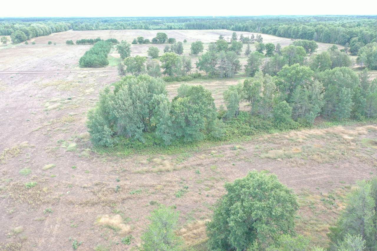 Lot 7 Kieler Lane - Photo 1