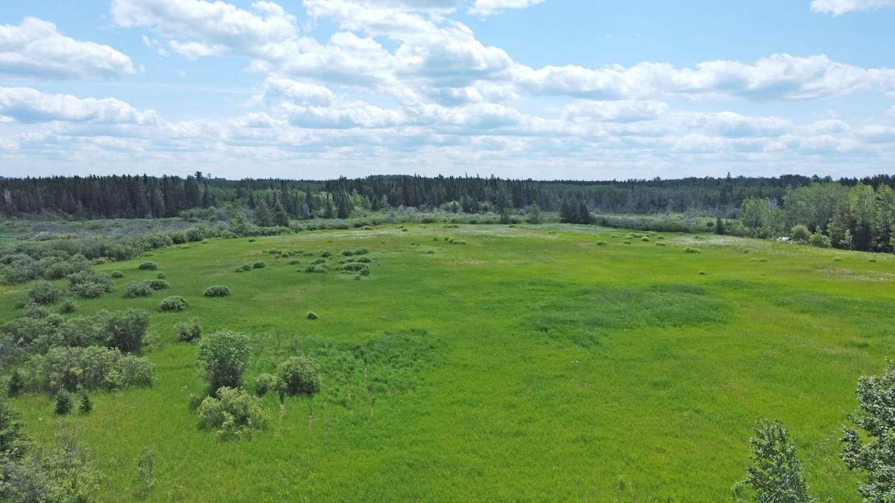 Lot B Olson Rd E - Photo 1