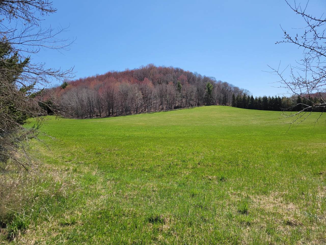 Lot 3 950th Street - Photo 1