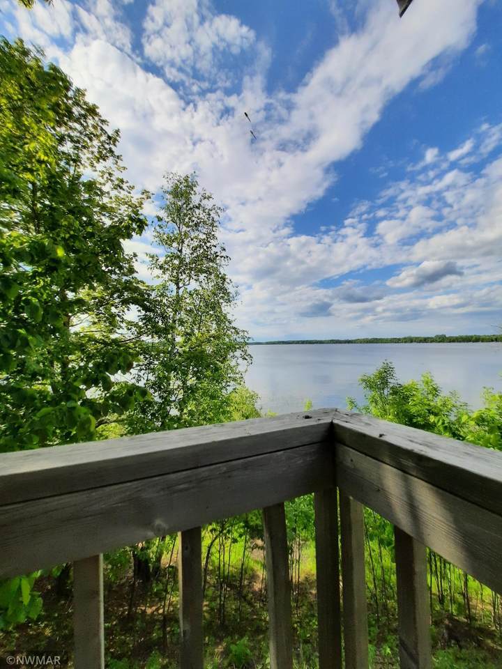 11883 Paper Birch Drive - Photo 1