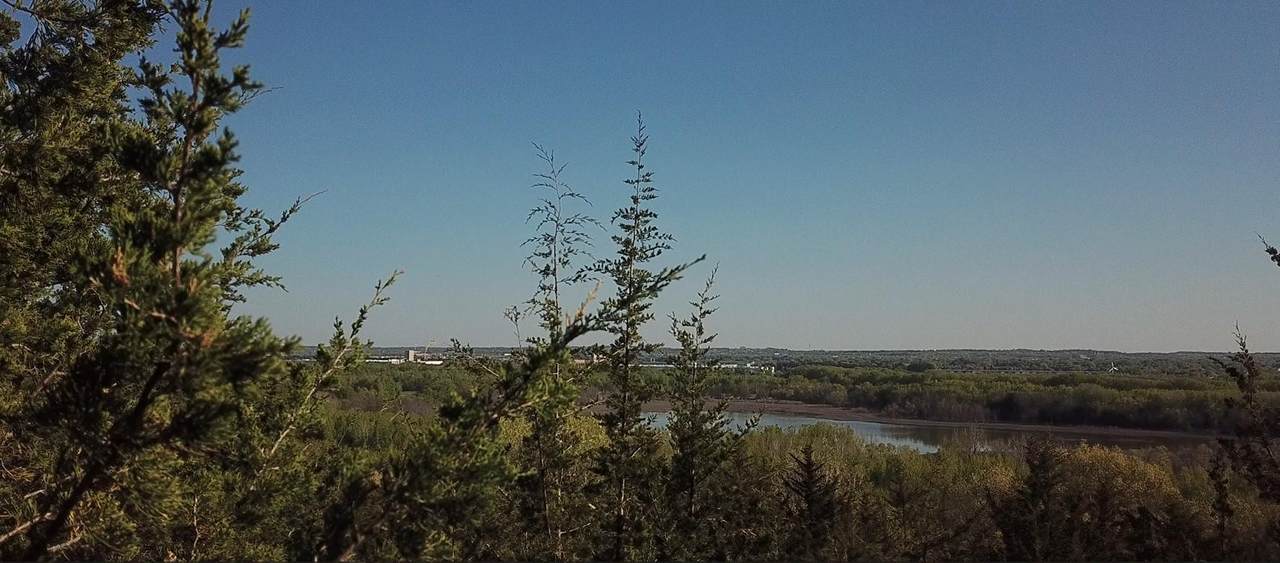 10003 Dell Road - Photo 1