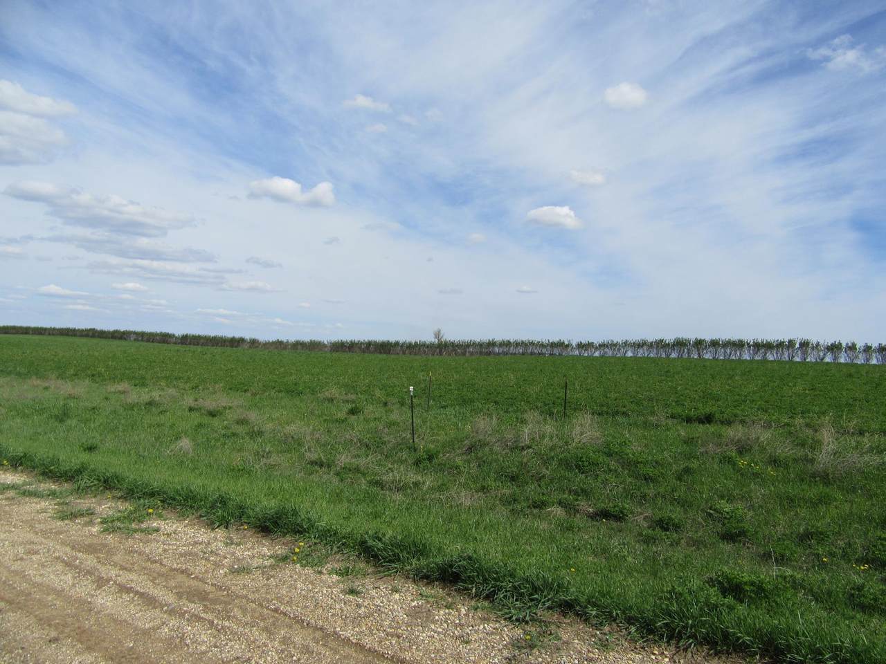 3 Royal Oaks Road - Photo 1