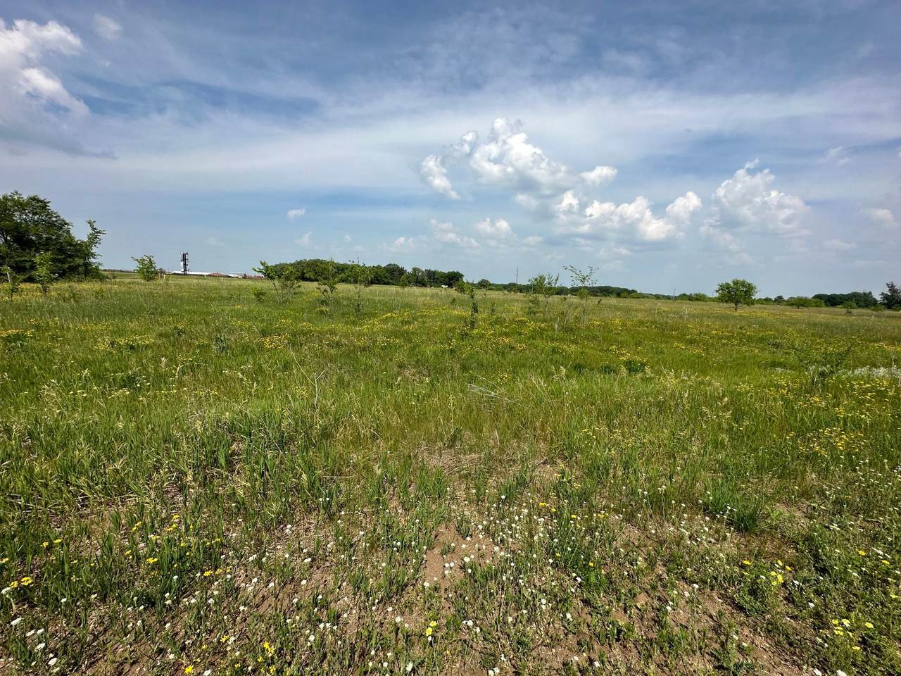 TBD B 423rd St - Photo 1