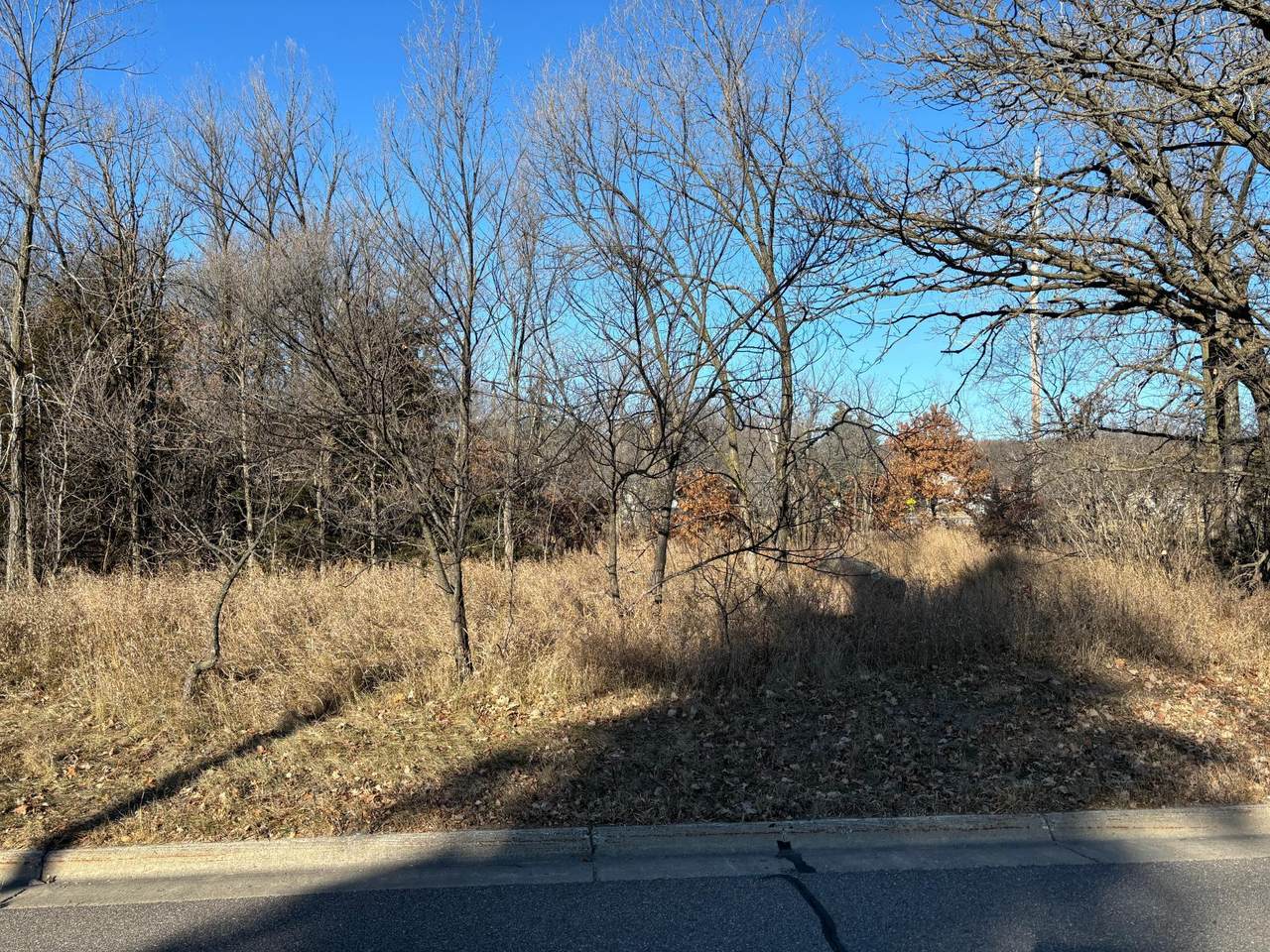 199 High Drive - Photo 1