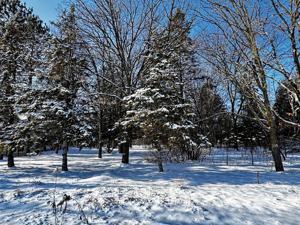 TBD Katrine Drive - Photo 1