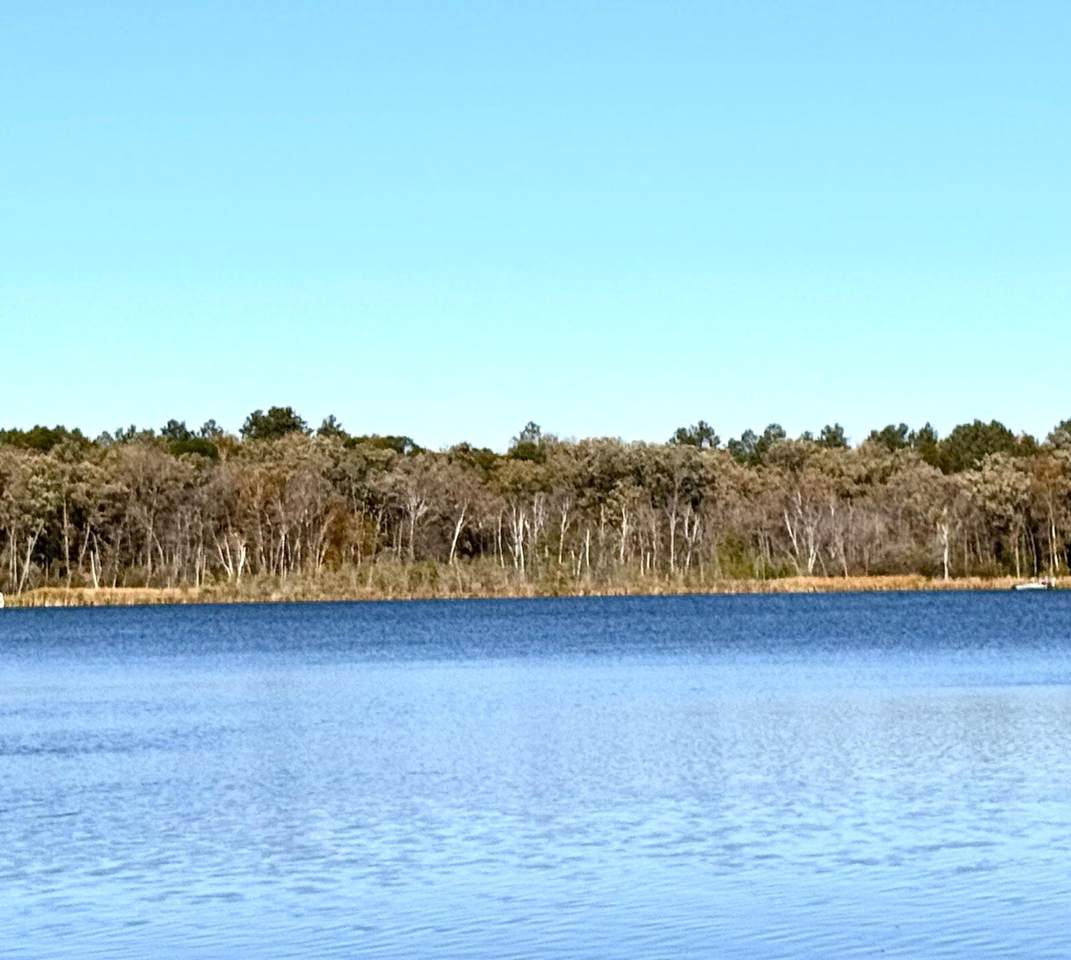 TBD 141st Avenue - Photo 1