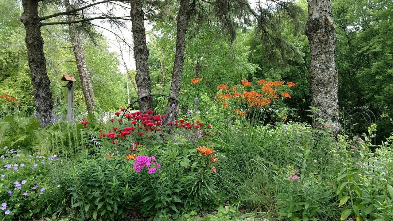 2945 County Road 4 - Photo 1