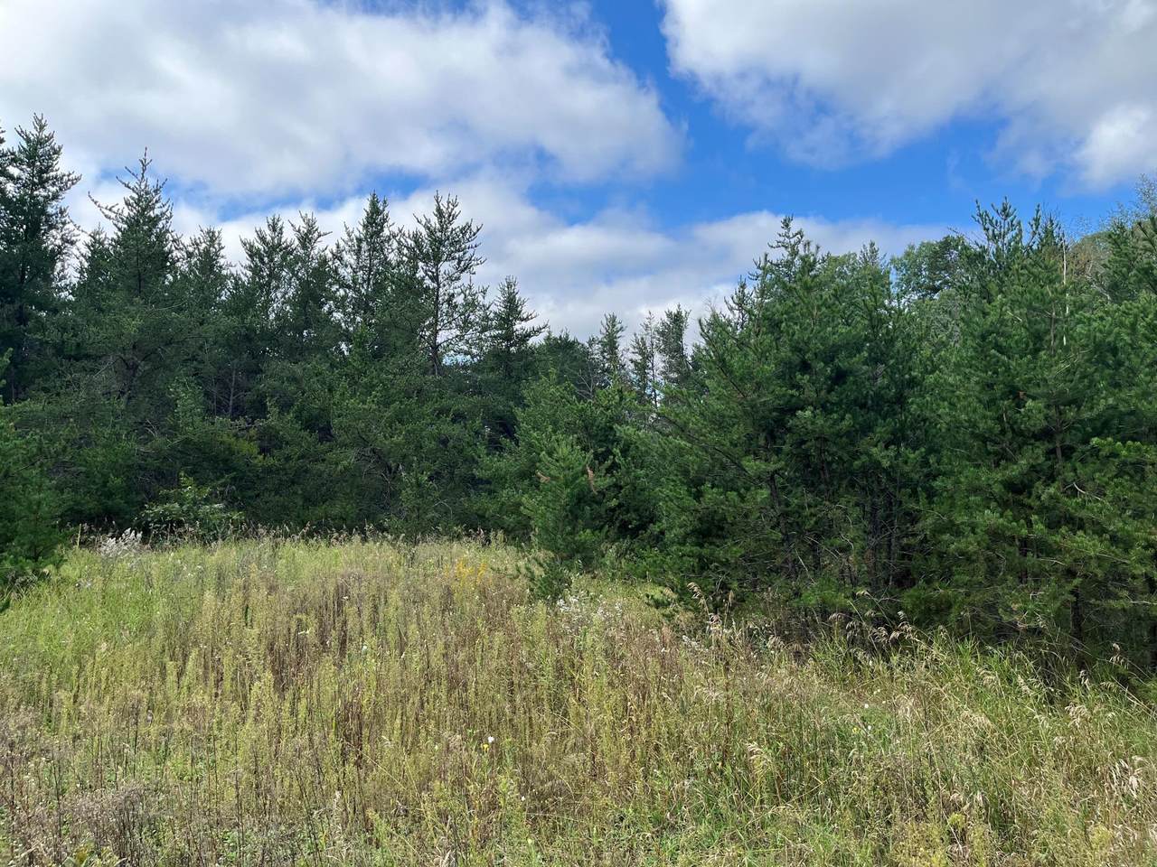 1707 Hassman Hill Tract D Road - Photo 1