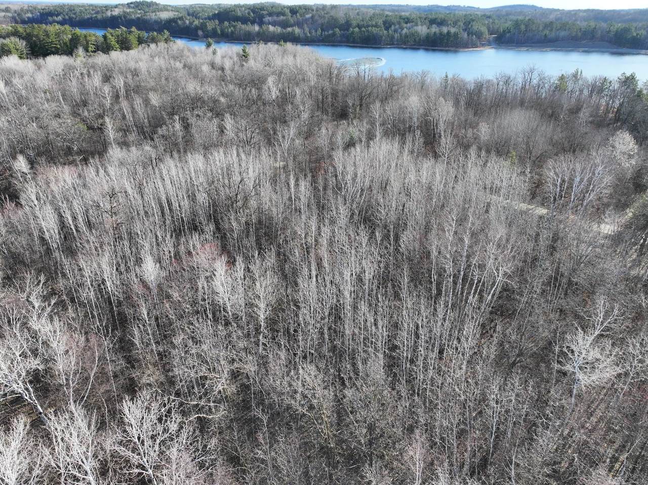 TBD Bass Lake Road - Photo 1