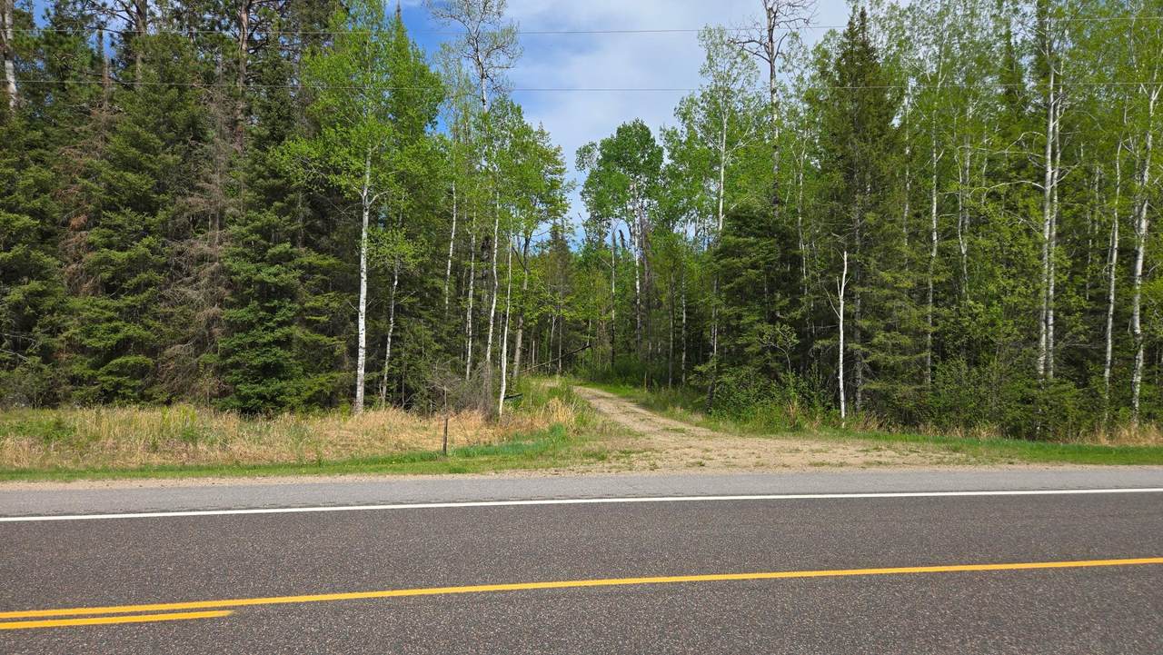 7316 Crane Lake Road - Photo 1