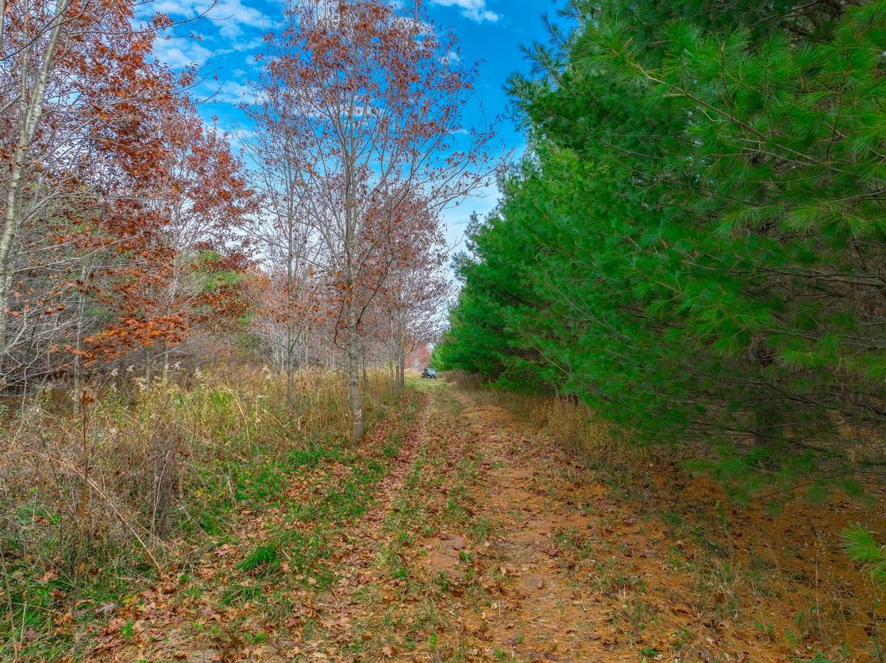 https://bt-photos.global.ssl.fastly.net/northstar/1280_boomver_2_6706220-2.jpg