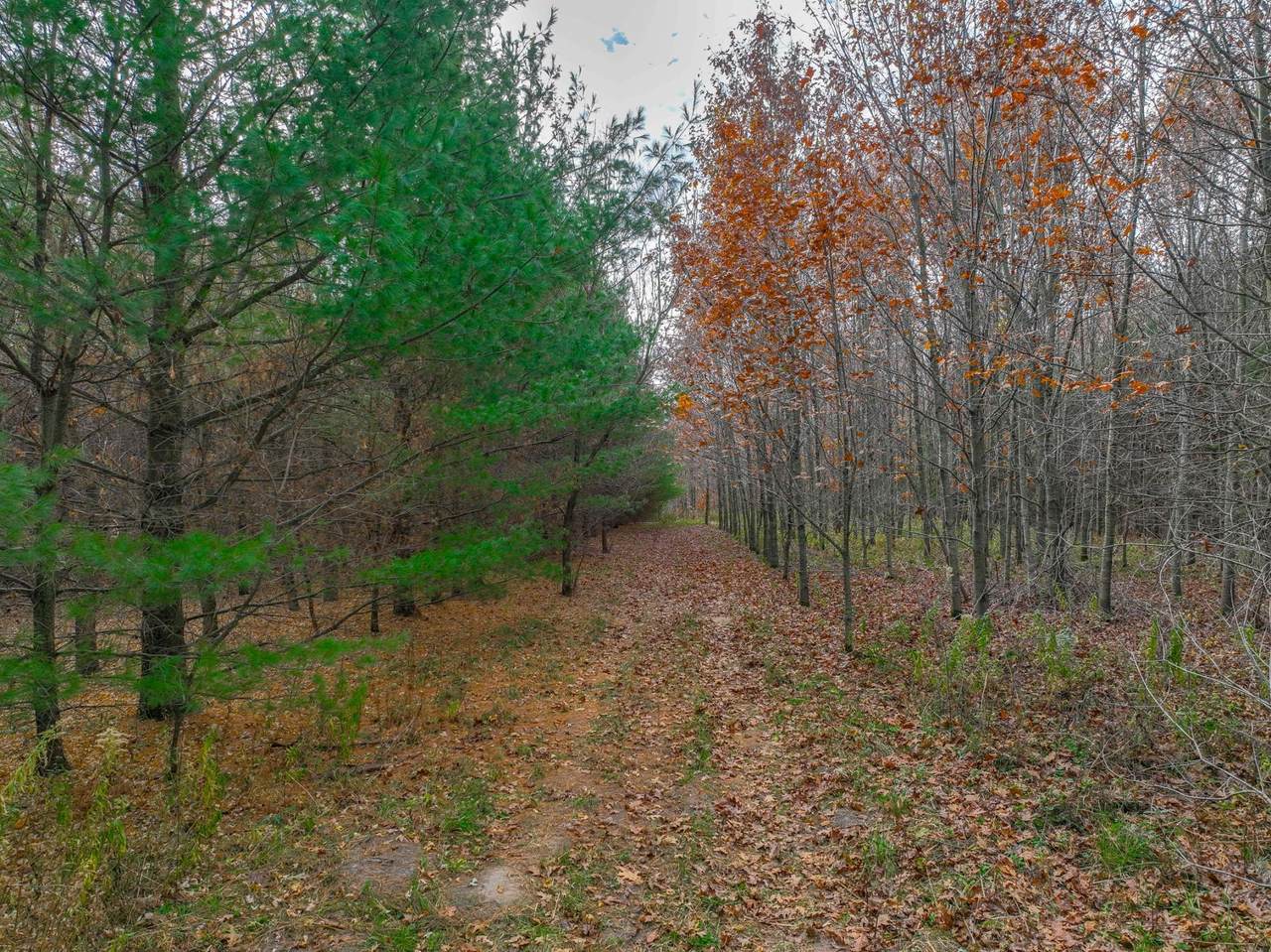 https://bt-photos.global.ssl.fastly.net/northstar/1280_boomver_2_6706257-2.jpg