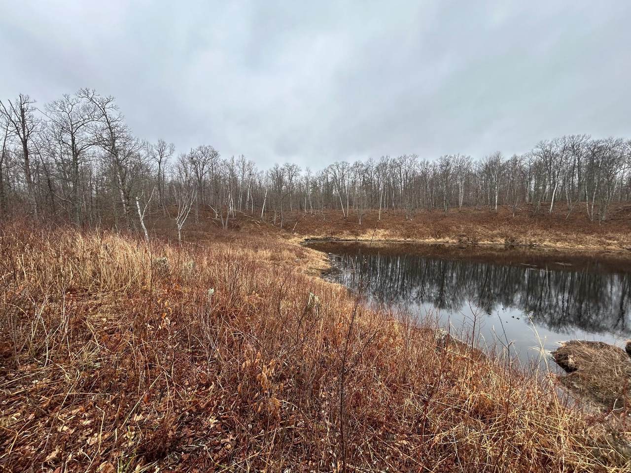 TBD Fawn Trail Ne - Photo 1