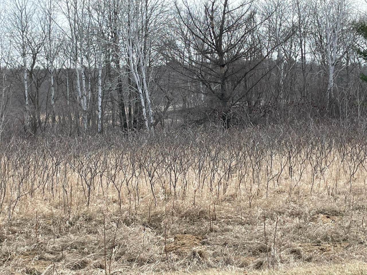 xxxx Ottawa Drive - Photo 1